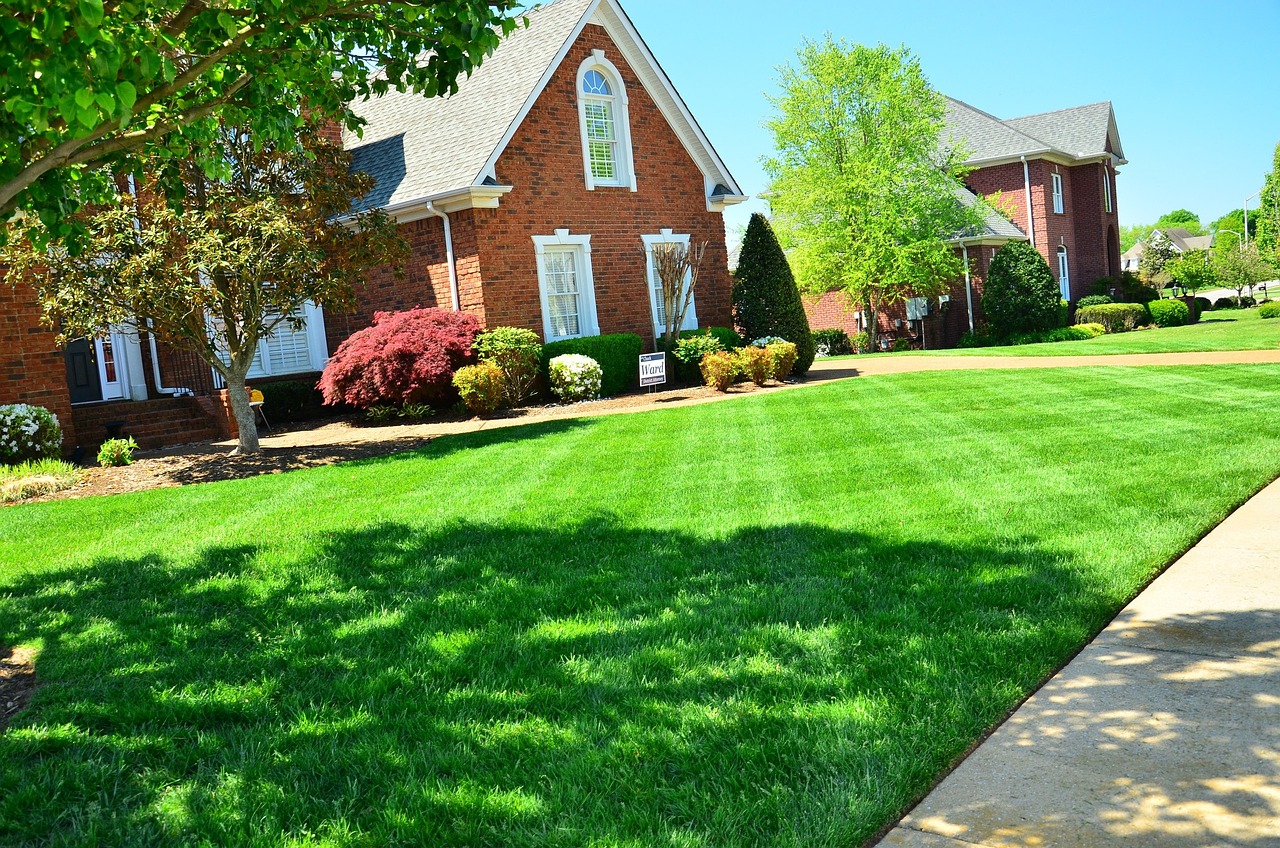 Lush Green Lawn