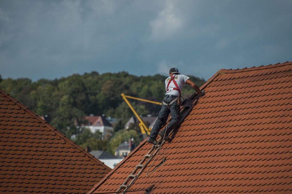 Professional for Roof Repairs