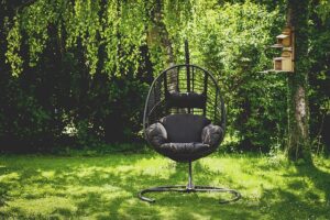 Transforming Your Backyard into a Relaxation Haven with the Right Grass