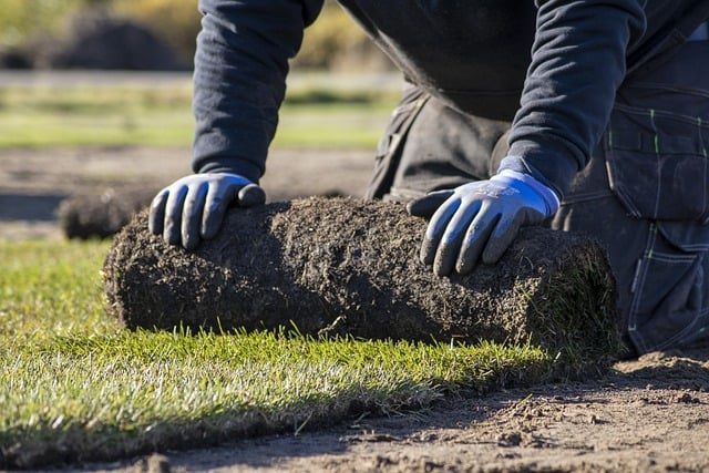 Natural Grass Over Artificial Alternatives