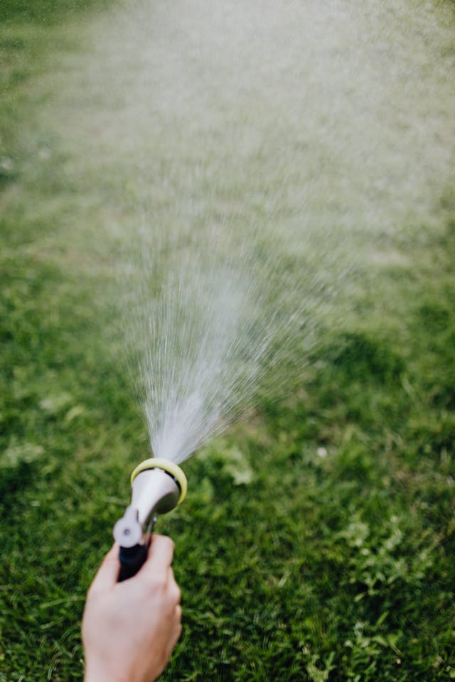 Watering and Fertilizing